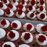 cupcakes-00